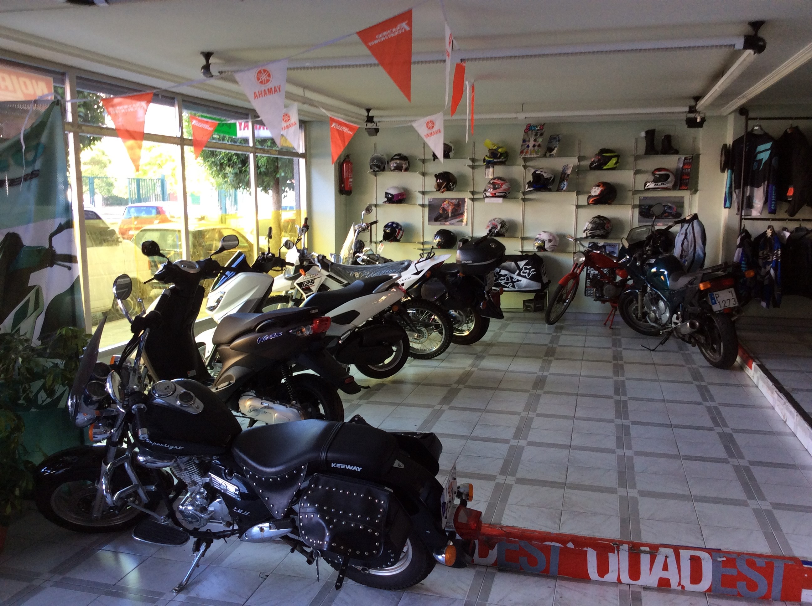 Galería de imágenes